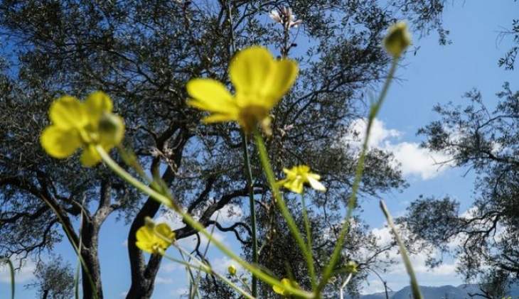 Πρωτομαγιά: Ο καιρός το εορταστικό τριήμερο