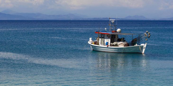 Επιστολή των αλιέων προς την  Γενική Διεύθυνση Θαλάσσιας Πολιτικής και Αλιείας Ευρωπαϊκή Επιτροπή